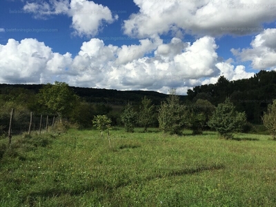 Eladó lakóövezeti telek - Balatonhenye, Veszprém megye