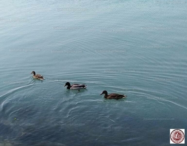 Eladó tégla lakás - Balatonszemes, Somogy megye