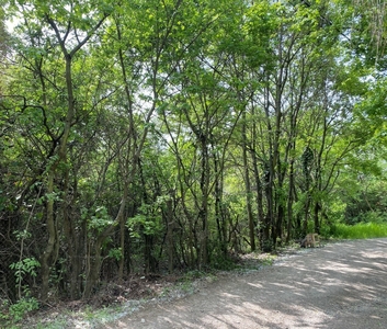 Eladó üdülőövezeti telek - Szentendre, Szarvashegy