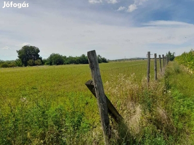 Eladó Horton 5.000 nm, 1/1 Tulajdonú belterületi mezőgazdasági telek