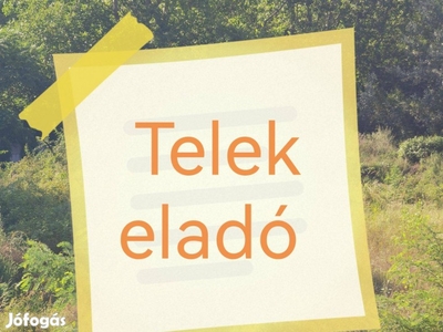 Nagyszálláson 3995 nm-es telek eladó