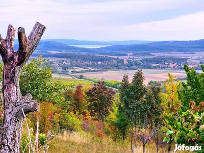 Panorámás, elvonuló telek Pécselyen- Videó