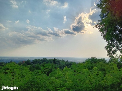 Üdülőövezeti telkek gyönyörű panorámával erdő mellett eladó