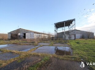 Eladó mezogazdasagi ingatlan Hódmezővásárhely