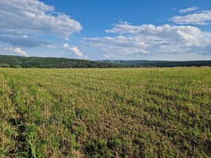 Eladó telek Isaszeg