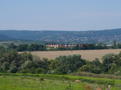 Eladó telek - Pilisborosjenő