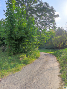 Eladó termőföld, szántó - Balatonkeresztúr