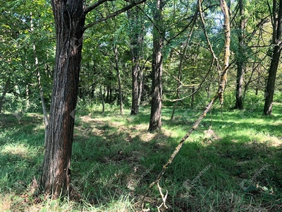 Eladó termőföld, szántó - Csurgó