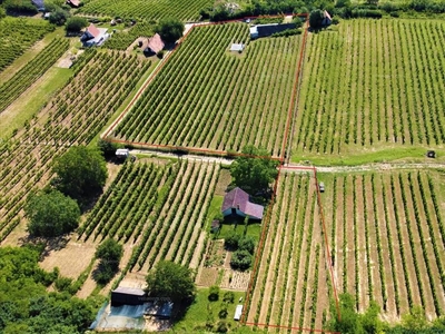 Eladó termőföld, szántó - Szekszárd