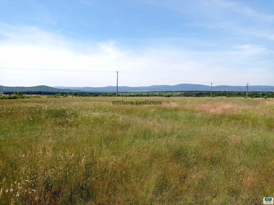 Eladó termőföld, szántó - Veszprém