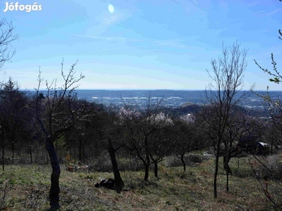 Budaörs Frankhegy üdülő telek