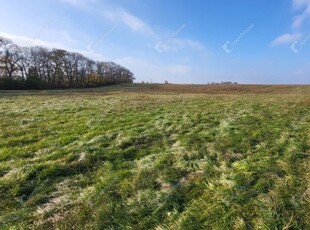 Eladó mezogazdasagi ingatlanMezőkövesd