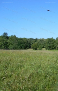 Látóhegy, Nagykanizsa, ingatlan, telek, 8.800.000 Ft