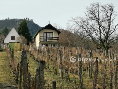 Kisapáti, ingatlan, mezőgazd. ingatlan, 40 m2, 29.500.000 Ft