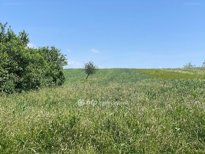 Vértesacsa, ingatlan, mezőgazd. ingatlan, 1539 m2, 2.400.000 Ft