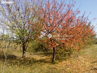 Eladó Telek, Lepsény - Balaton közeli hobbi telek, nyaraló - Lepsény, Fejér - Telek, föld