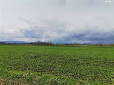 Sárospatakon,1.5 ha.belterületi építési telek!! - Sárospatak, Borsod-Abaúj-Zemplén - Telek, föld