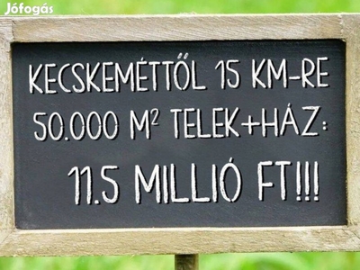 50.000 m2 Telek + Ház Kecskeméttől 15 KM-RE Csak 11.5 Millió FT ! ! !