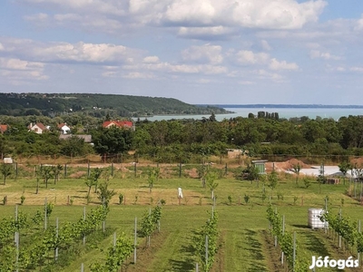 Eladó panorámás szőlőbirtok