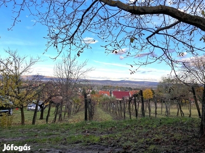 Etyek-Újhegyen 1315 nm panorámás telek eladó