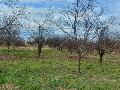 Gerla (VIII. kerület), Békéscsaba, ingatlan, telek, 2.499.000 Ft