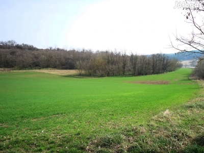 Közel 1 (ha) hektár zártkerti terület eladó, Balatonendréden!