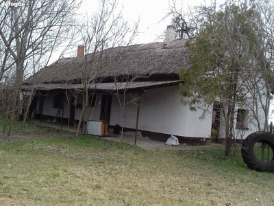 Eladó tanya Harkakönyben főút mellett - Harkakötöny, Bács-Kiskun - Tanya