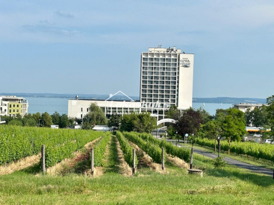 Eladó üzlethelyiség - Balatonfüred