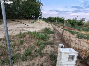 Eladó Csongrád-Bokros 1 hektár Belterületi telek, közvetlen út