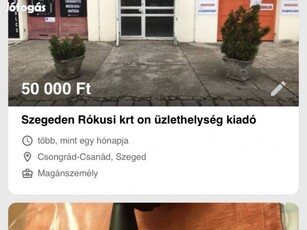 Szegeden üzlethelység kiadó