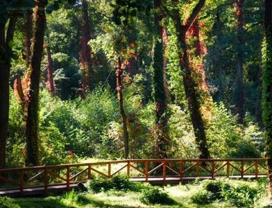 Kertváros, Keszthely, ingatlan, mezőgazd. ingatlan, 15544 m2, 10.000.000 Ft