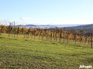 Gyönyörű környezet, PANORÁMÁS ingatlan