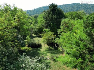 Hegyvidéki táj, káprázatos panorámával Budapesten!