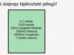 Eladó lehetőségekkel teli terület Bordányban!