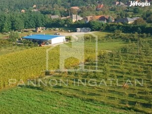 Eladó Mezőgazdasági, Csikvánd 70.000.000 Ft