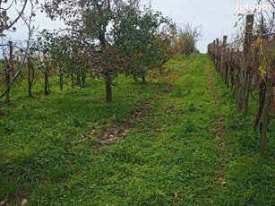 Eladó Telek, Győr 16.500.000 Ft