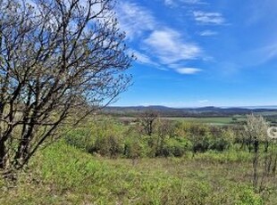 Eladó telek Pécsely