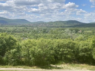 Eladó telek Szentendre, Radnóti utca mellett