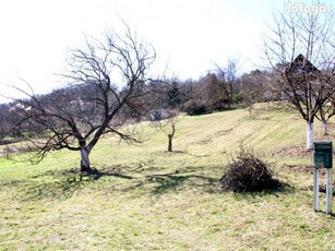 Pázmánd, Szőlőhegy utca, 1490 m2-es, telek