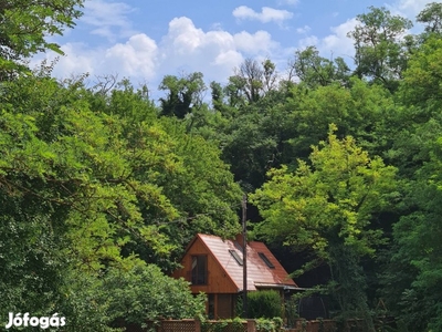 Balatonberényben felújított, partközeli, erdő melletti faház eladó