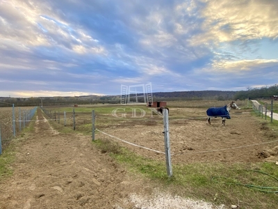 Mogyoród, ingatlan, mezőgazd. ingatlan, 18225 m2, 65.000.000 Ft