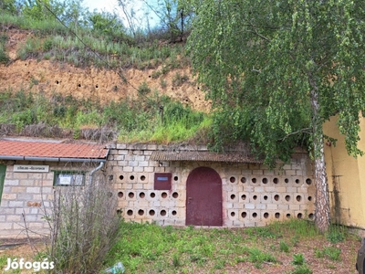 Eladó Mezőgazdasági, Tarcal 6.290.000 Ft