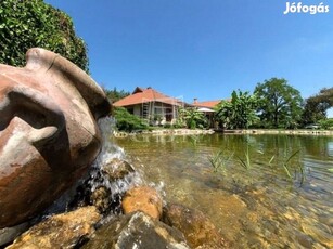 Eladó családi ház Tápióbicske, Természet közeli LUXUS birtok!