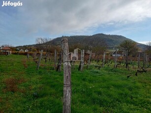 Eladó Mezőgazdasági, Somlószőlős 1.900.000 Ft