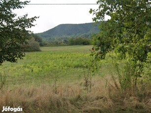 Esztergom külterület szántó