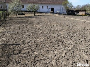 Röszkén Családi ház eladó