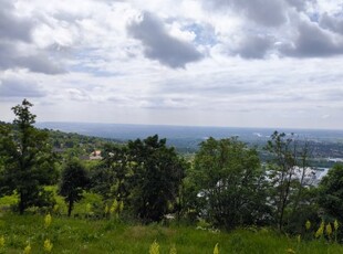 Eladó telek Szentendre