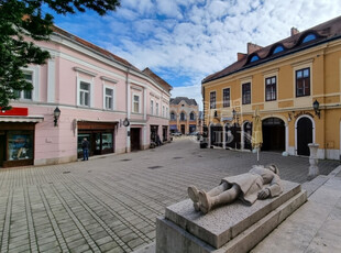 Székesfehérvár, Belváros és környéke, Történelmi belvárosban, Belváros és környéke