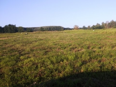 Eladó ipari ingatlan Debrecen, Kandia, Debreceni út