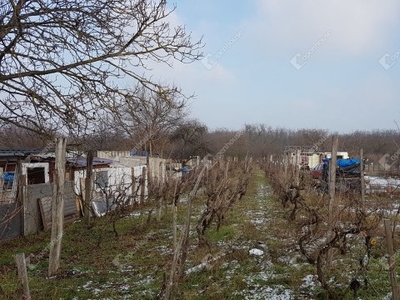 Eladó mezogazdasagi ingatlanGyőr